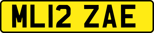 ML12ZAE