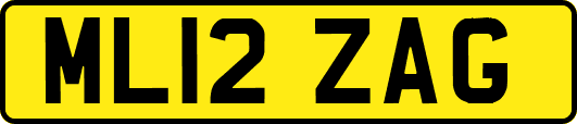 ML12ZAG