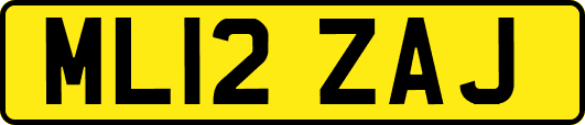 ML12ZAJ