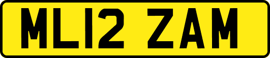 ML12ZAM