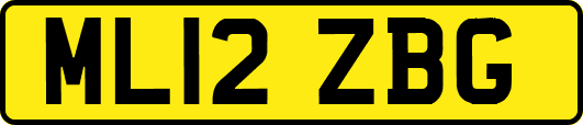ML12ZBG