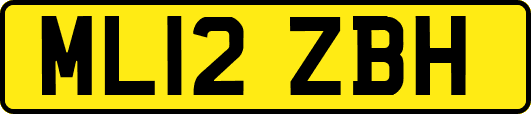 ML12ZBH