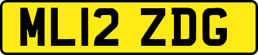 ML12ZDG