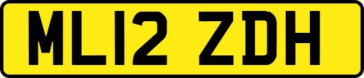 ML12ZDH
