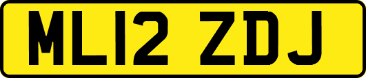 ML12ZDJ