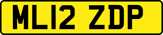 ML12ZDP