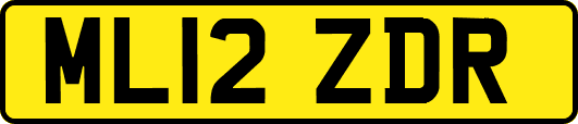 ML12ZDR