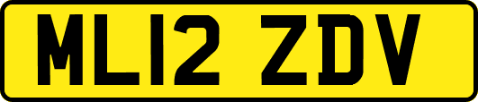 ML12ZDV