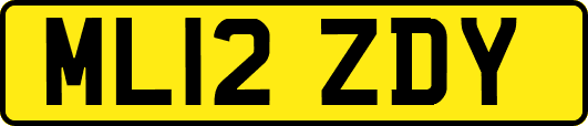 ML12ZDY