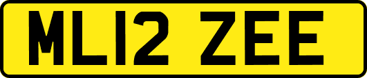 ML12ZEE