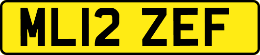 ML12ZEF