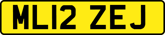 ML12ZEJ