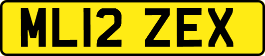 ML12ZEX