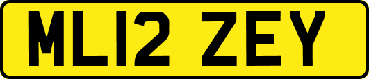 ML12ZEY