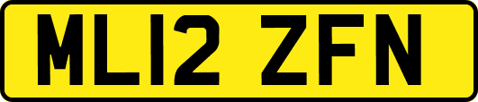 ML12ZFN