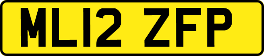 ML12ZFP