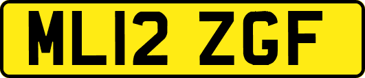 ML12ZGF