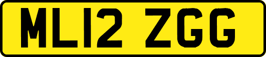 ML12ZGG