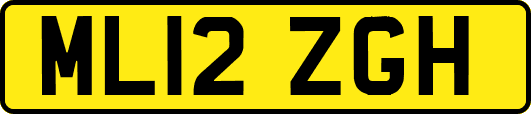 ML12ZGH