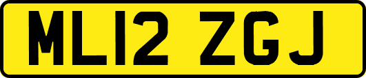 ML12ZGJ