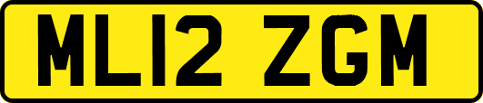 ML12ZGM