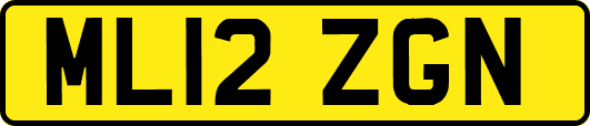 ML12ZGN