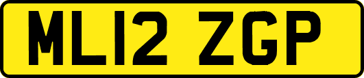 ML12ZGP