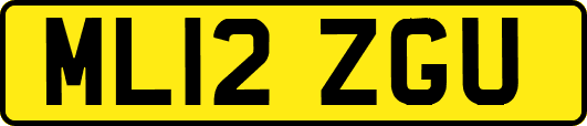 ML12ZGU