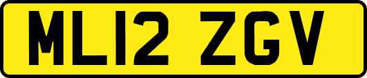 ML12ZGV