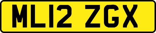 ML12ZGX