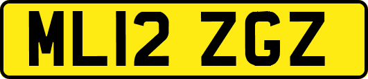 ML12ZGZ