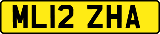 ML12ZHA