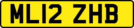 ML12ZHB