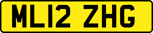 ML12ZHG