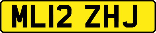 ML12ZHJ