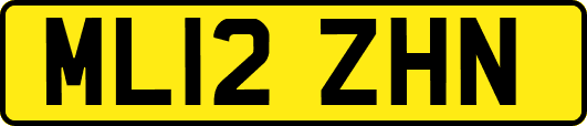 ML12ZHN