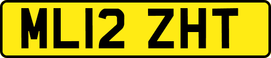 ML12ZHT