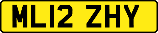 ML12ZHY