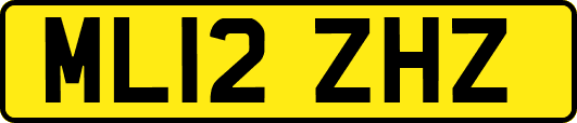 ML12ZHZ