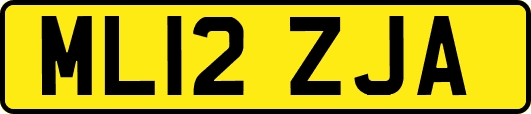 ML12ZJA