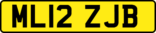 ML12ZJB
