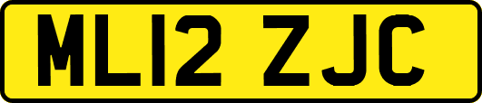 ML12ZJC