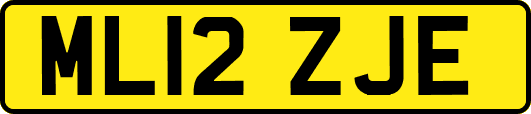 ML12ZJE