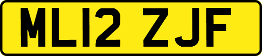 ML12ZJF