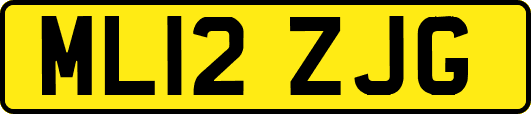 ML12ZJG