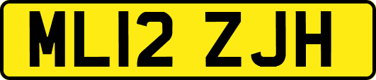 ML12ZJH