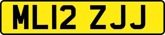 ML12ZJJ