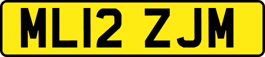 ML12ZJM