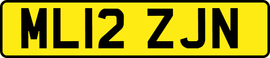 ML12ZJN