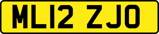 ML12ZJO